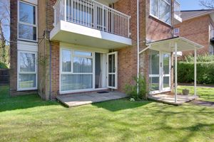 Patio- click for photo gallery